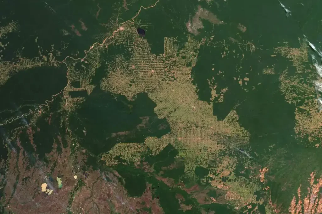 Changing Earth: Amazon deforestation, July 18, 2012