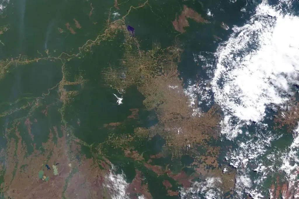 Changing Earth: Amazon deforestation, July 30, 2000