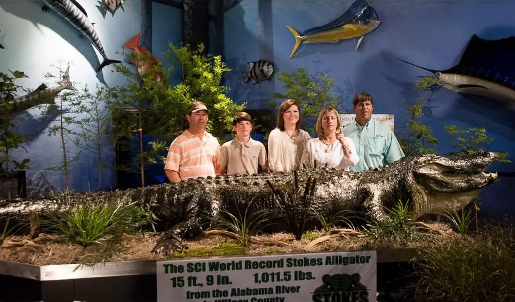 Stokes Alligator, Alabama - the largest alligator ever recorded