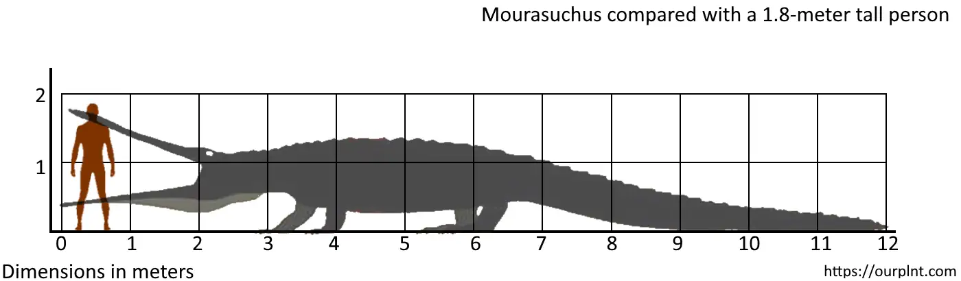 Deinosuchus: The Terrifying Extinct Dinosaur Eating Crocodile