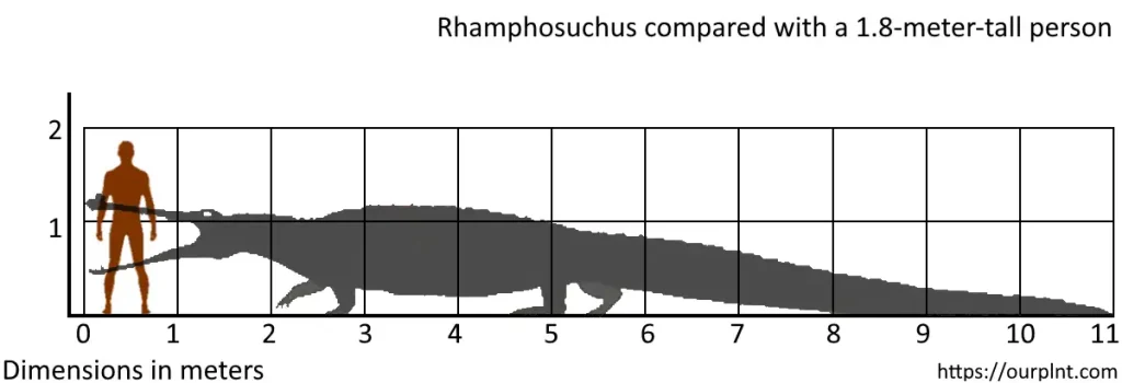 Largest prehistoric crocodiles: Rhamphosuchus vs human size comparison