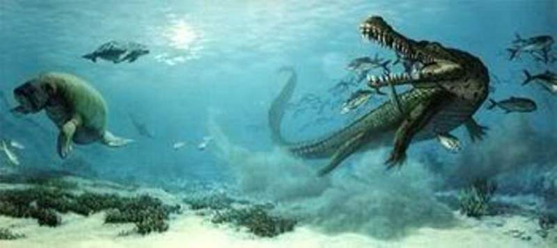 Largest prehistoric crocodiles: Rhamphosuchus