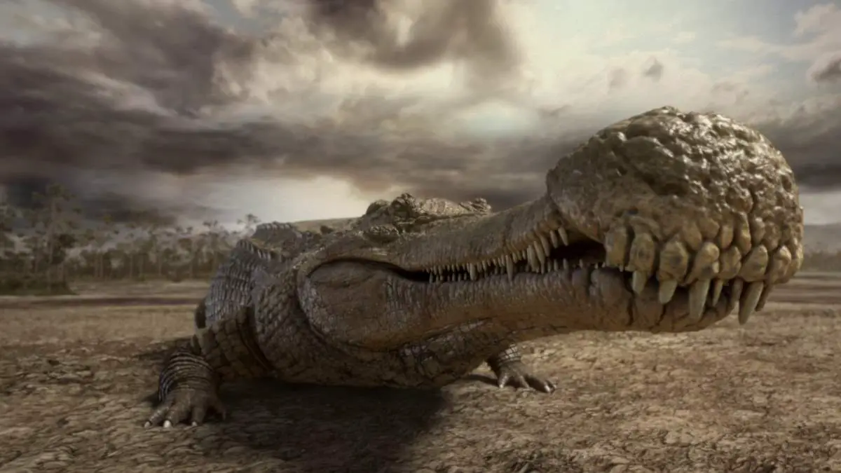 Top 6 biggest prehistoric crocodiles ever lived Our