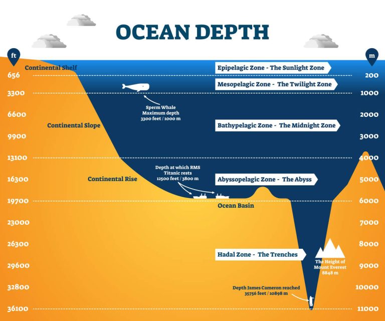 Reference Deep Ocean How Deep is the Ocean? The Average and Maximum Depths of the Oceans ...