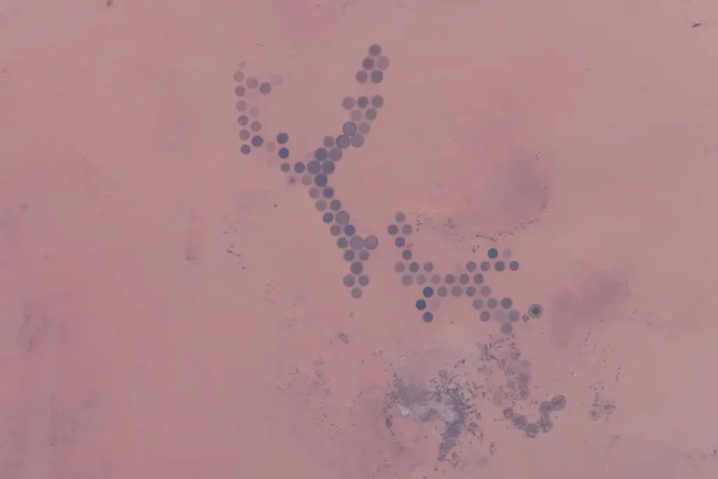 Driest places in the world: Kufra oasis green circles from space