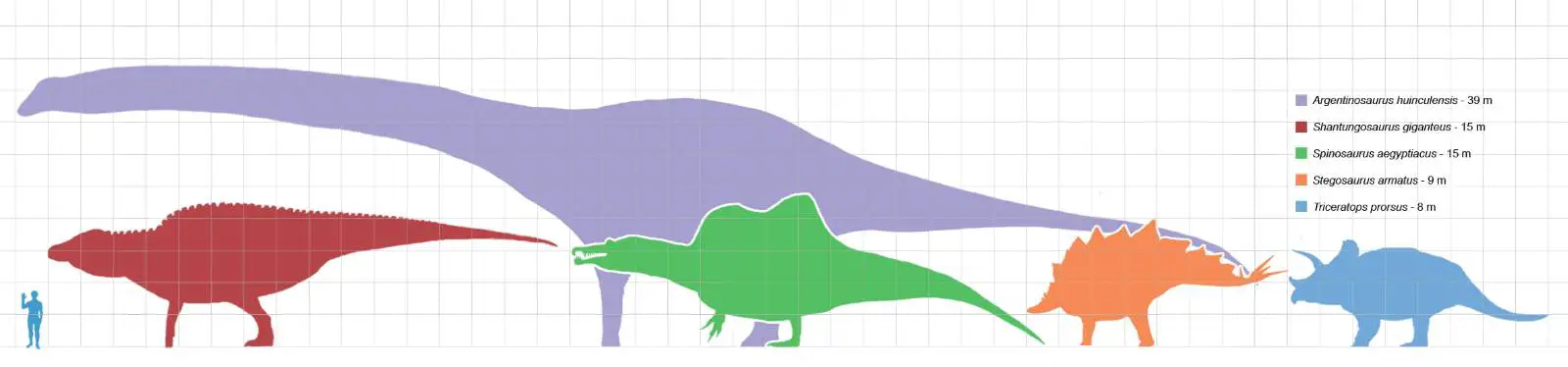 Largest dinosaurs scale