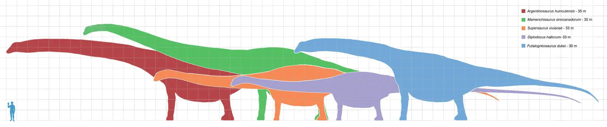 Largest Dinosaurs Ever Lived Our Planet   Longest Dinosaurs 