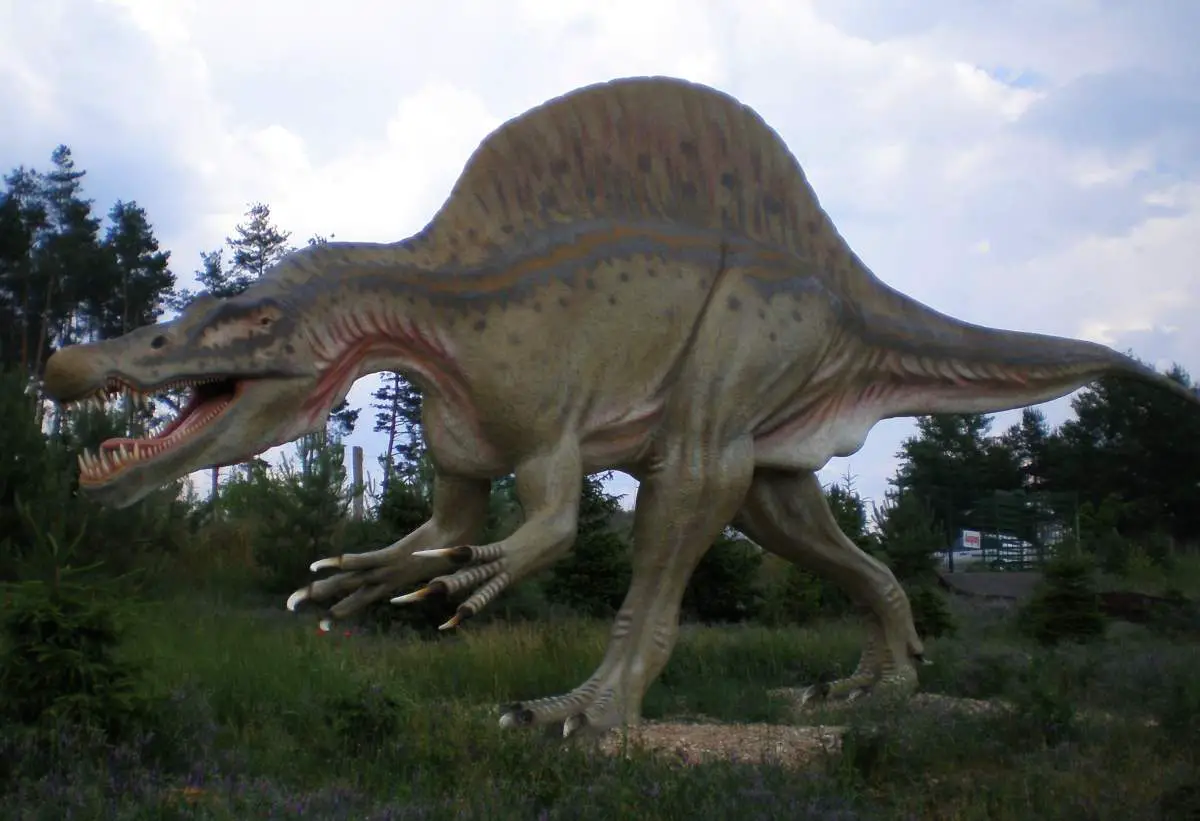 Largest dinosaurs: Spinosaurus, Tierpark-Germendorf