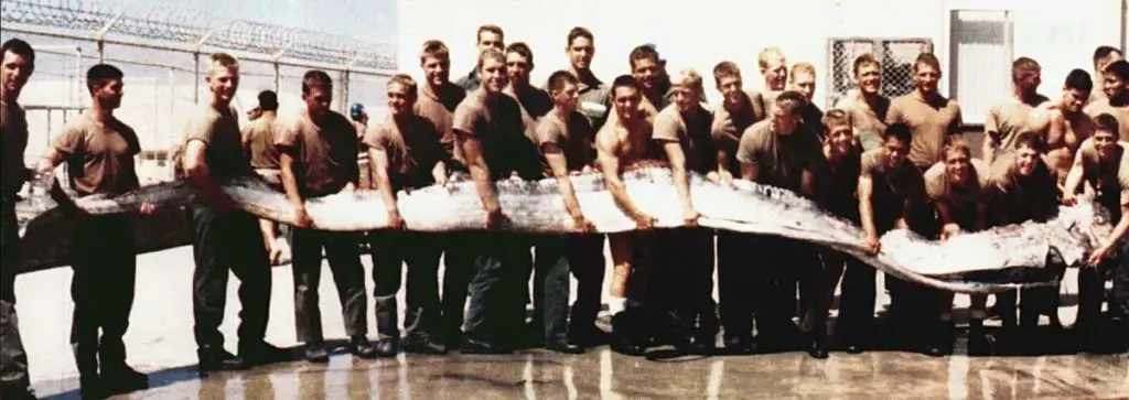 A Giant Oarfish (1996)