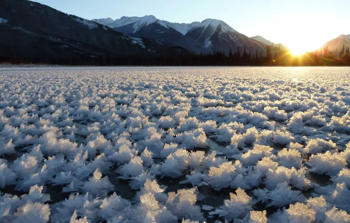 Amazing and Rare Natural Phenomena: Frost flowers (sea ice) in Lake Louise, Alberta, Canada