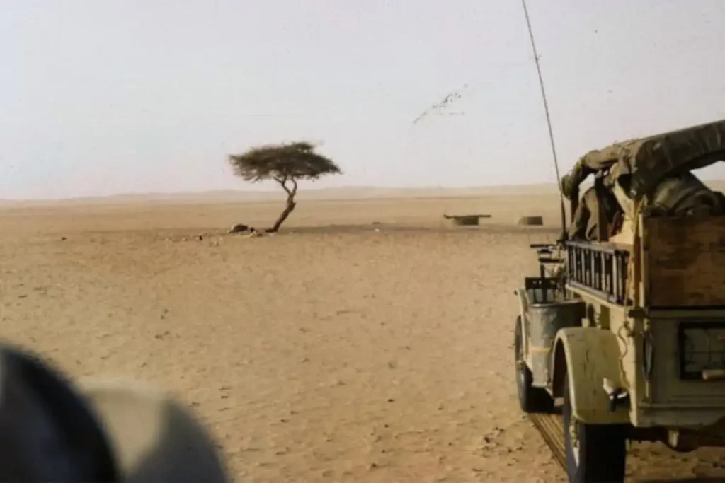 Recently lost natural wonders: Tree of Ténéré