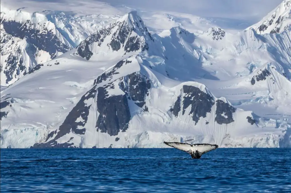 Global warming -Antarctica