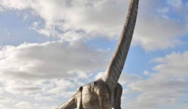 what is the tallest dinosaur that ever lived