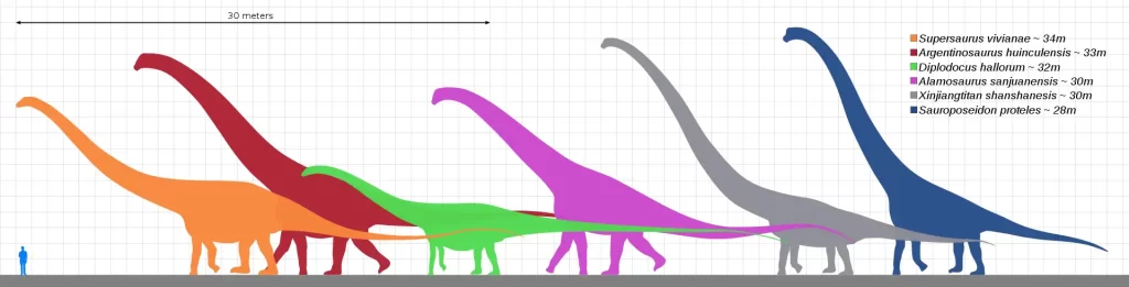 Largest dinosaurs ever lived - Our Planet