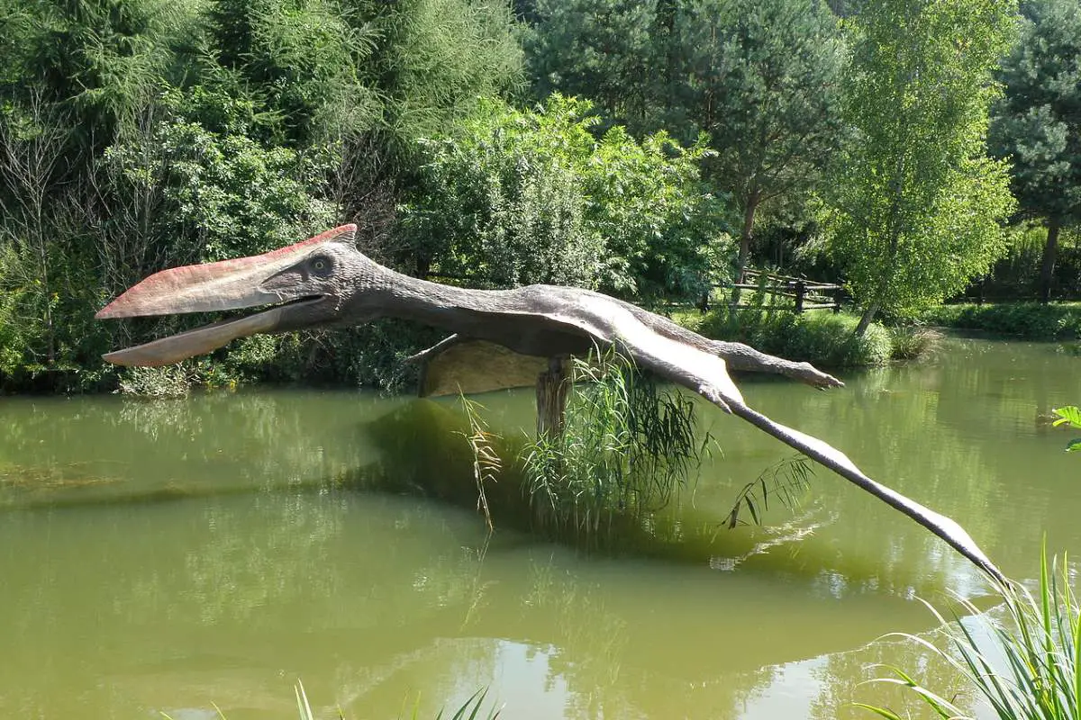 Largest prehistoric bird species: The largest flying animal ever lived - A Quetzalcoatlus reconstruction at JuraPark Bałtów