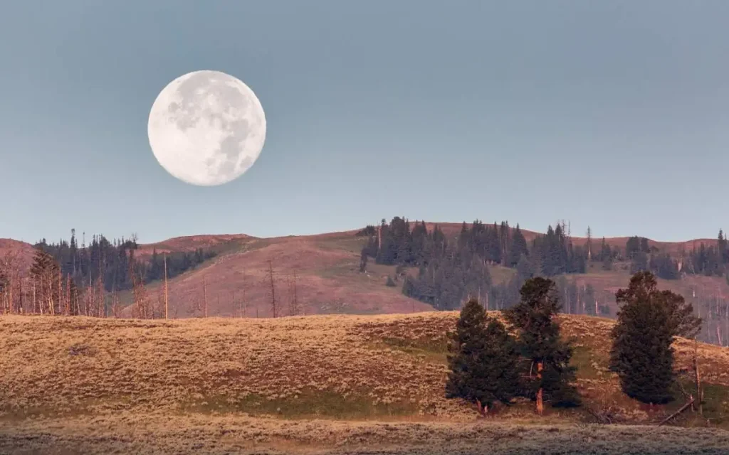 Harvest moon