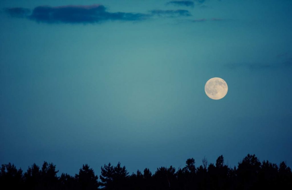 Moon facts - Moon over trees
