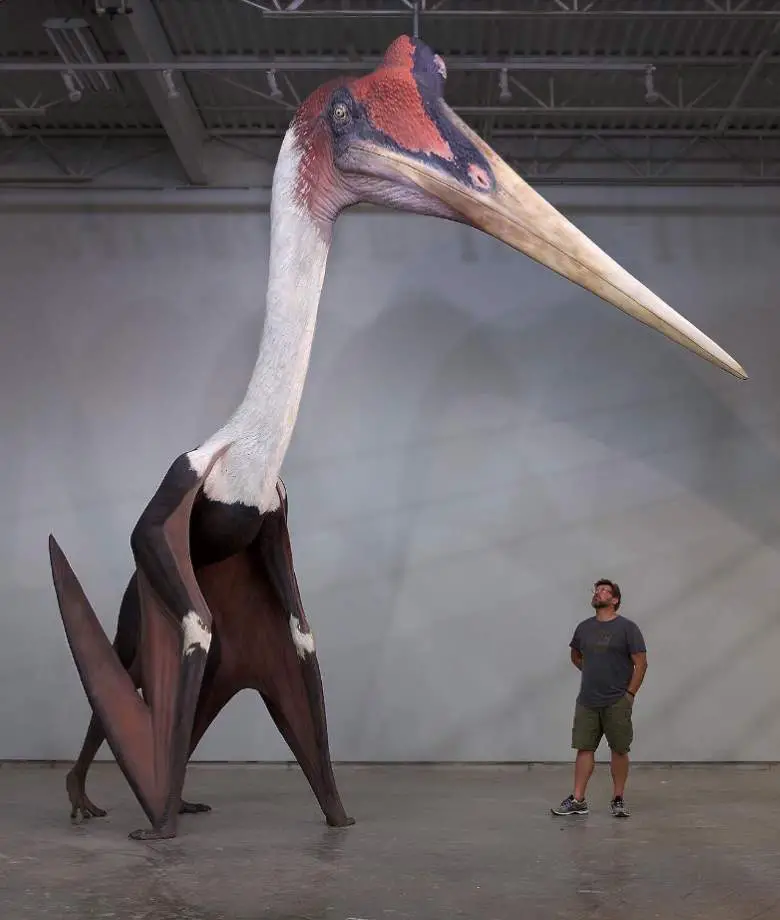 quetzalcoatlus wingspan