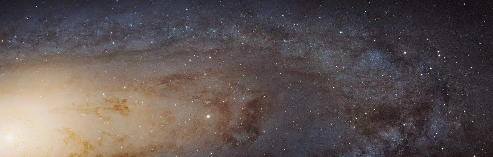 Andromeda Galaxy Hubble Image hs-2015-02-a