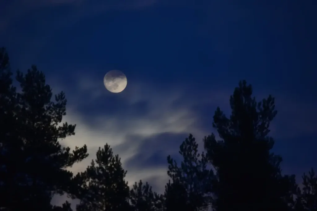 Things that make Life on Earth possible: Full moon over a forest