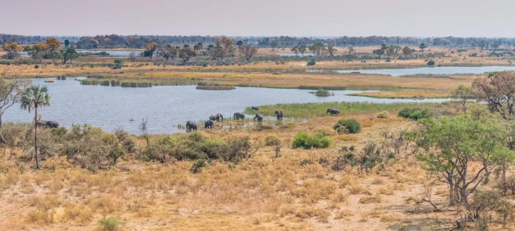 Okavango Delta, Botswana (aerial view)