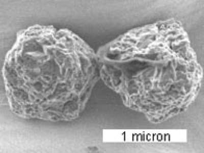 Murchison meteorite stardust contains the oldest material on Earth