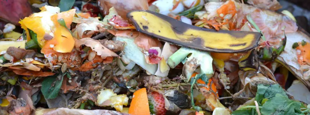 Composting at home