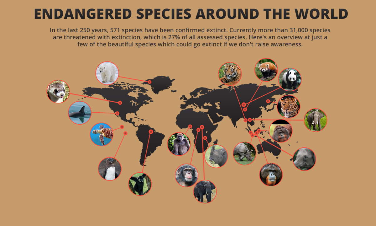 Endangered Species Around the World