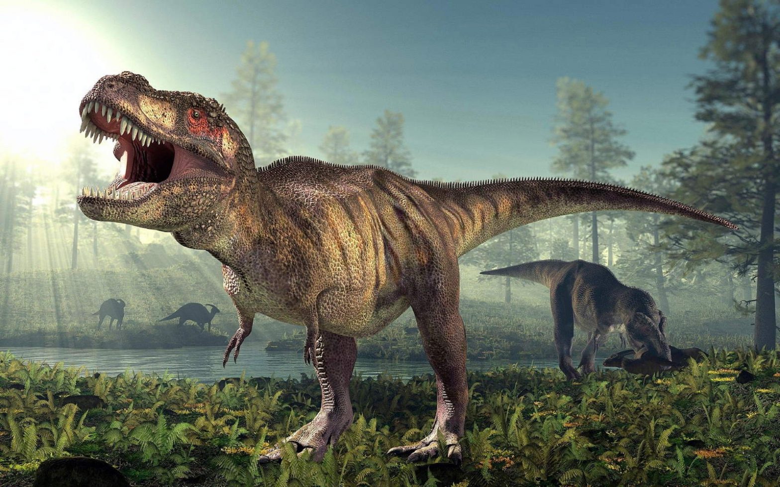 How many Tyrannosaurus rex walked the Earth?
