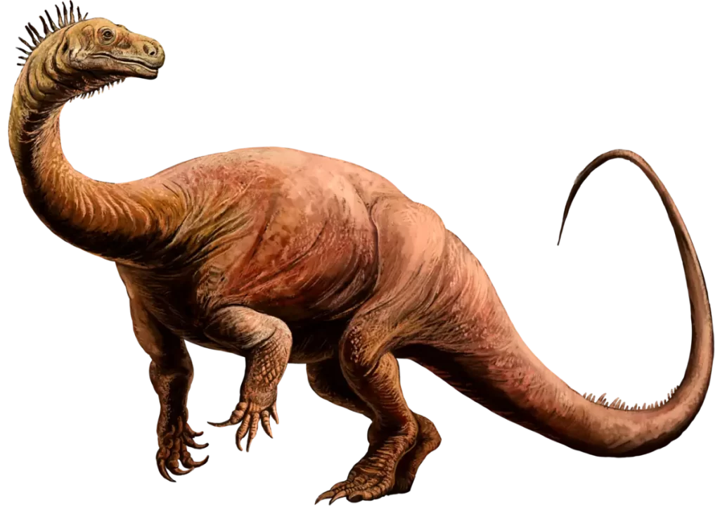 Plateosaurus engelhardti