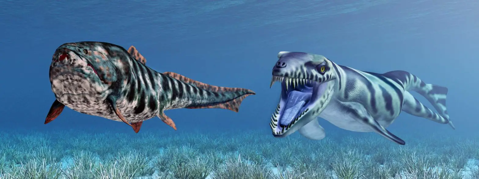 Computer generated 3d illustration with the prehistoric crocodile dakosaurus and the prehistoric fish dunkleosteus.