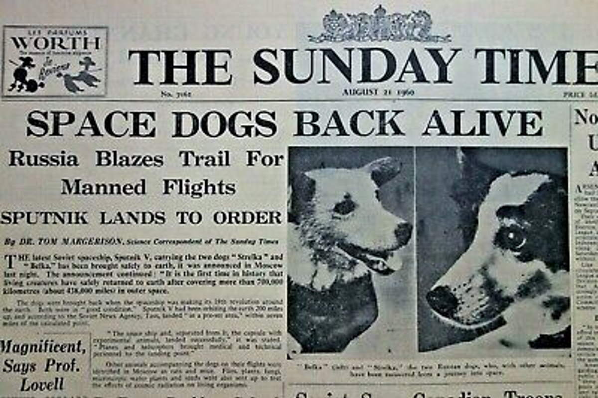 The first animals and plants returned alive from space on August 20, 1960
