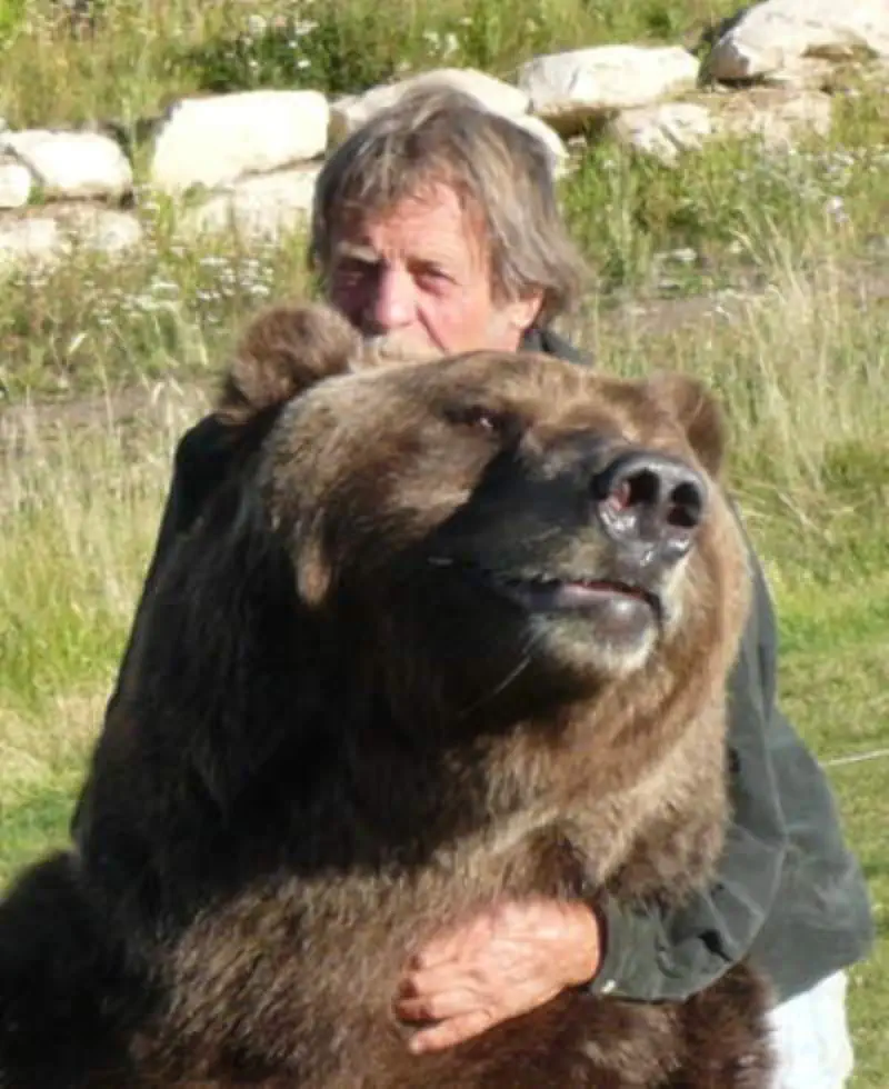 Bart the Kodiak bear