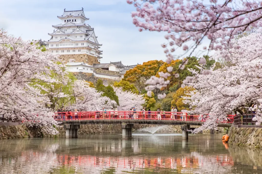 Countries having the most number of UNESCO World Heritage Sites:: Himeji Castle in cherry blossom season