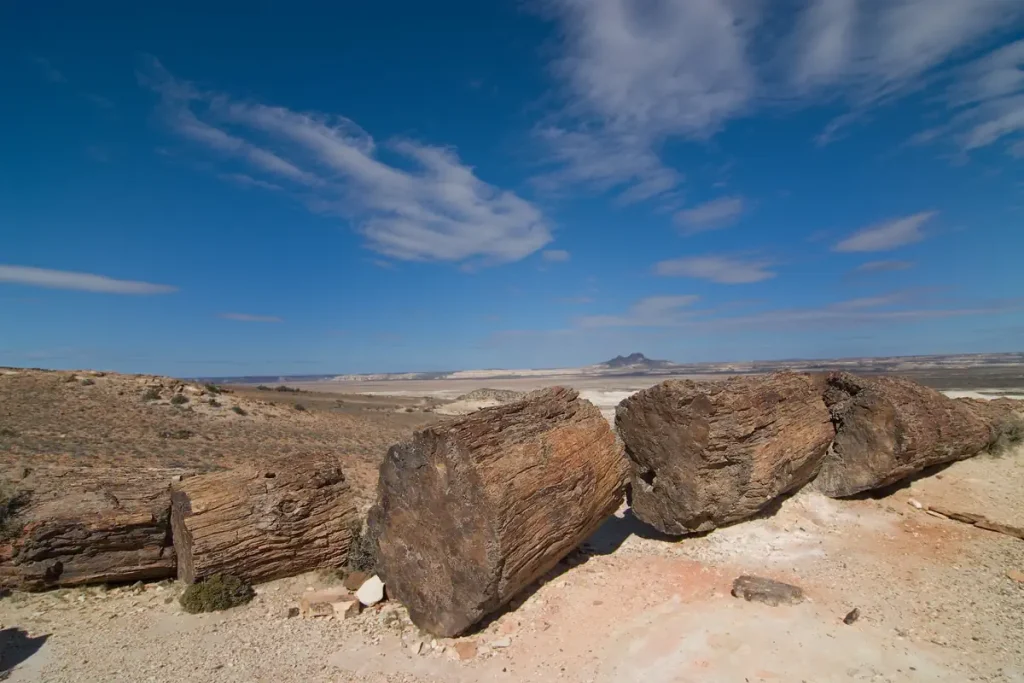 Petrified Forest National Park, Santa Cruz, Argentina
