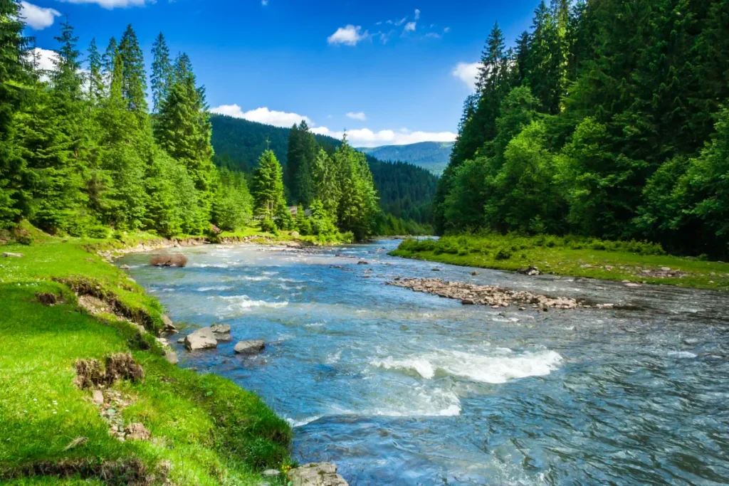 Mountain, forest, and river