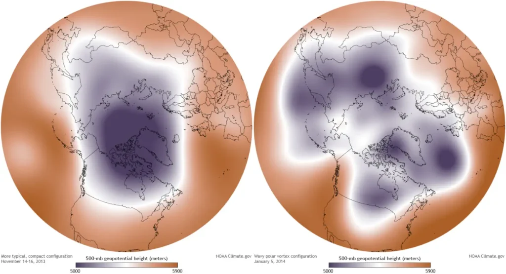 Polar vortex - regular and weakened configurations